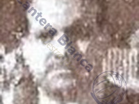 Delegados Cantera Real Madrid Década 1950